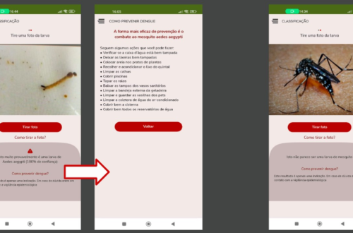 Estudante Catarinense Desenvolve Aplicativo Inovador para Identificar Larvas do Mosquito da Dengue